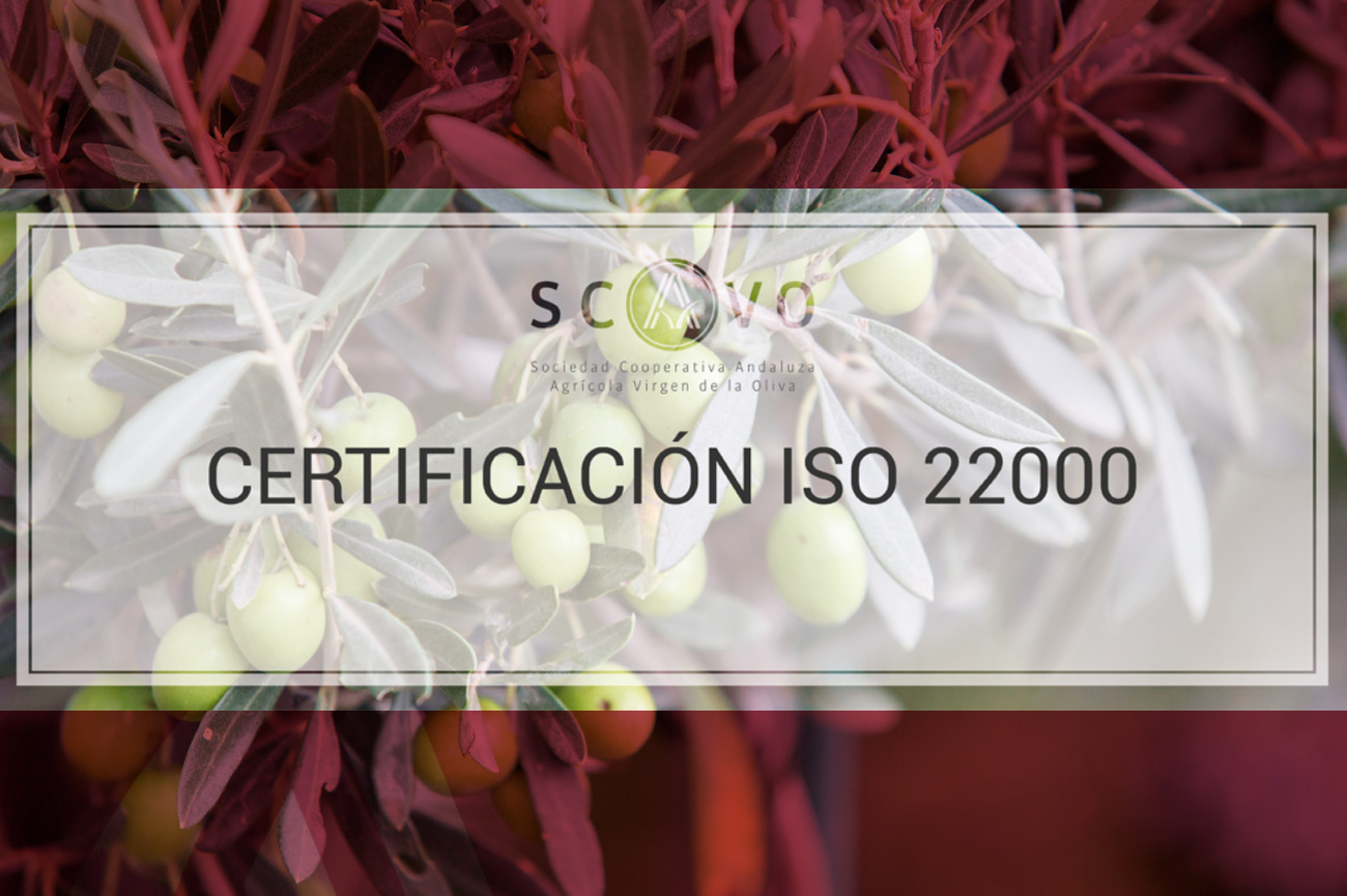 OBTENCIÓN DE LA CERTIFICACIÓN ISO 22000