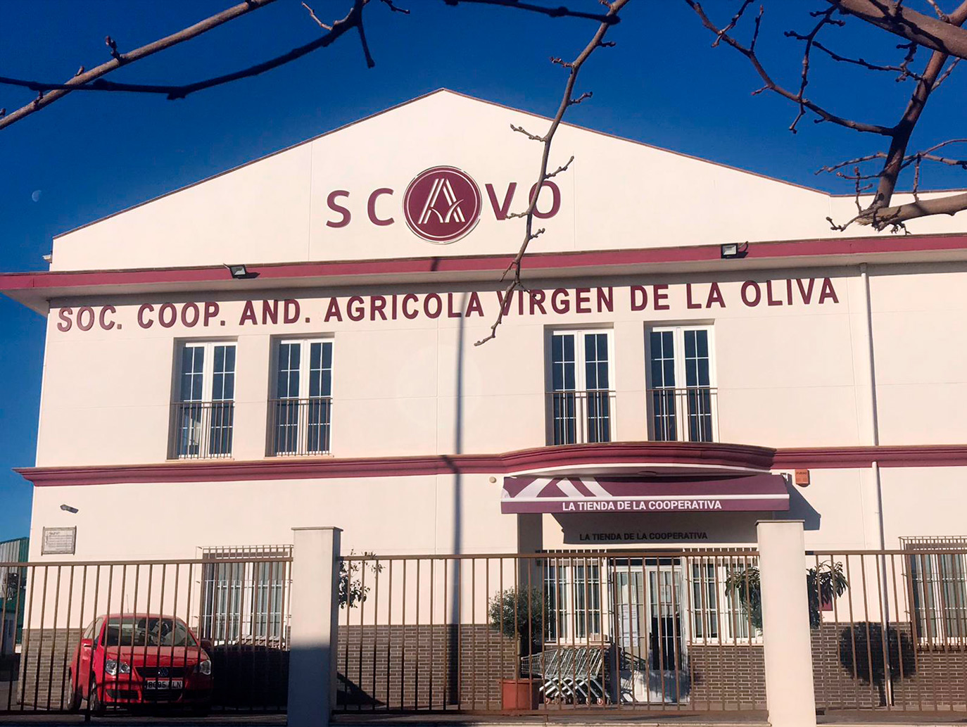SCAAVO - Sociedad Cooperativa Agrícola Andaluza Virgen de la Oliva