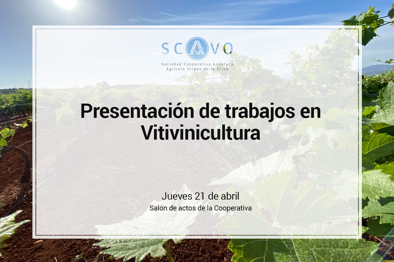 Jornada de 'Presentación de Trabajos en Vitivinicultura'