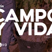CAMPO Y VIDA, la revista de SCAAVO 3ª edición