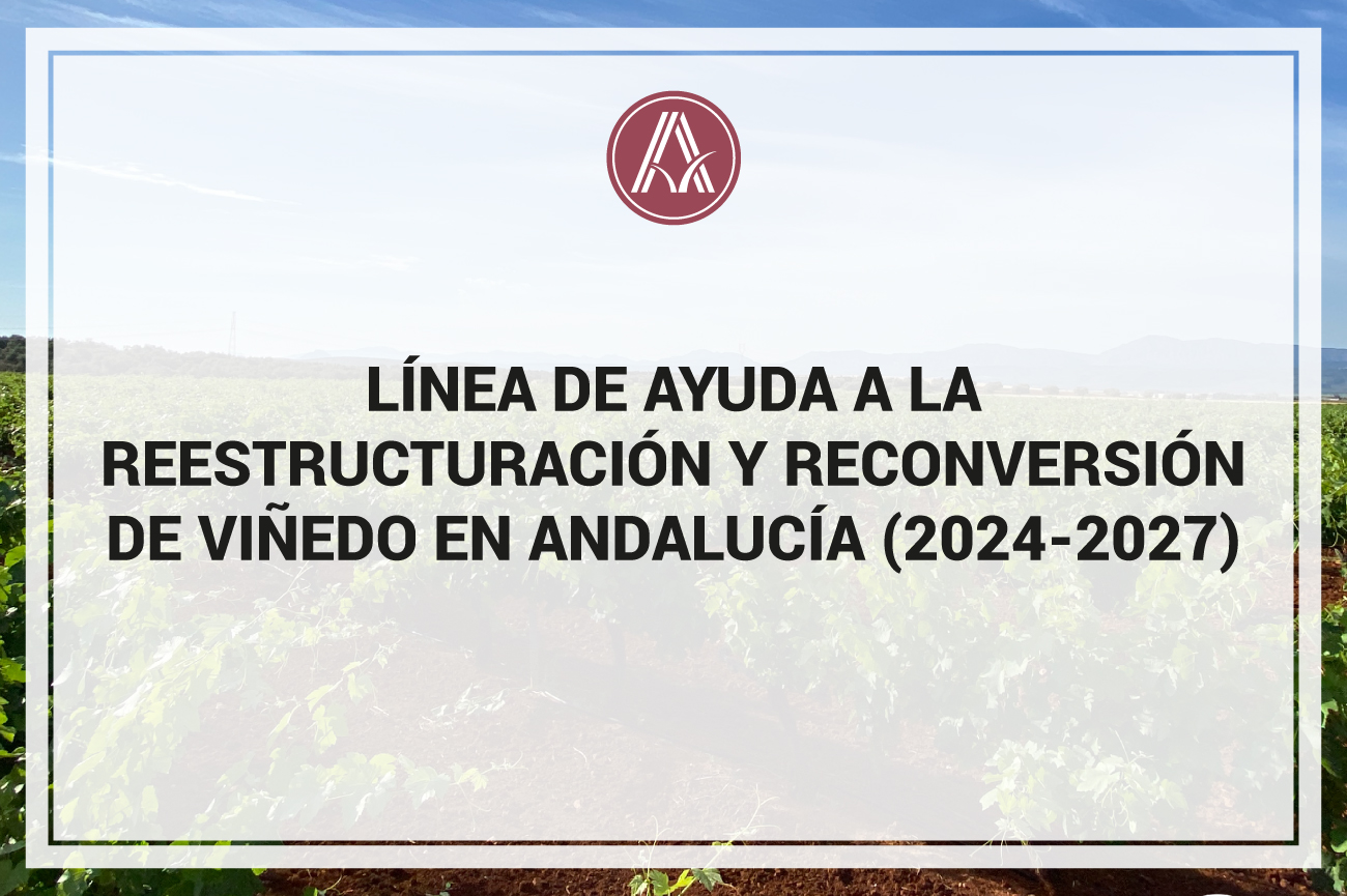 Convocada la línea de ayuda a la Reestructuración y reconversión de viñedo en Andalucía (2024-2027)