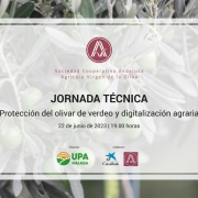 Jornada técnica 'Protección del olivar de verdeo y digitalización agraria'