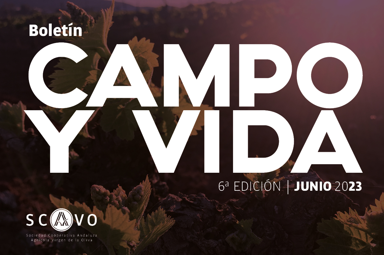 CAMPO Y VIDA, la revista de SCAAVO 6ª edición