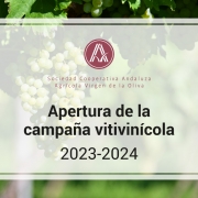 Apertura campaña vitivinícola 2023-2024