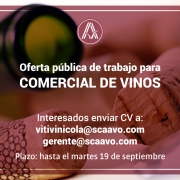 Oferta pública de trabajo para puesto de comercial de vinos