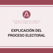 Explicación proceso electoral