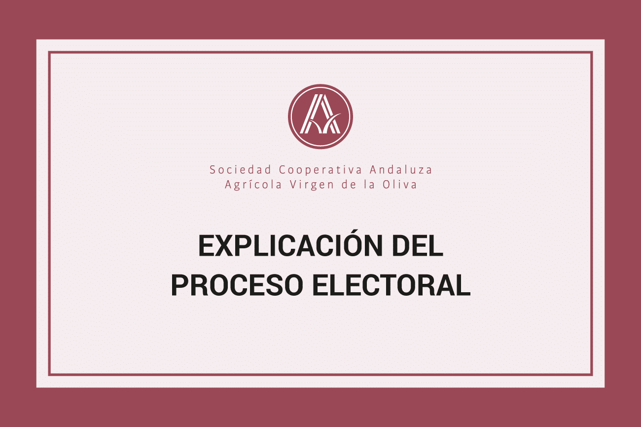 Explicación proceso electoral
