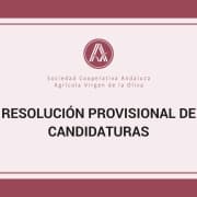 Resolución provisional de candidaturas admitidas