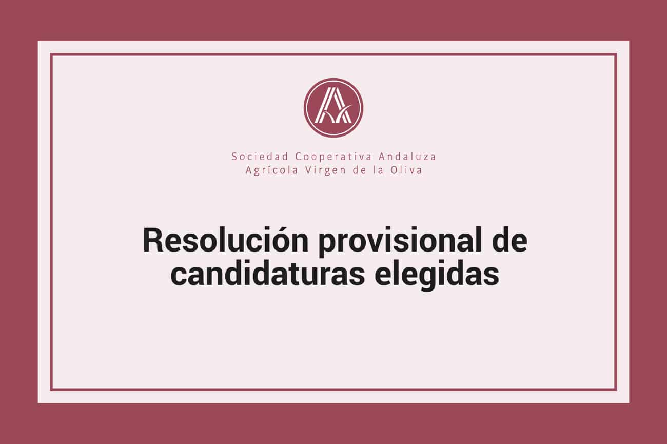Resolución provisional de candidaturas elegidas