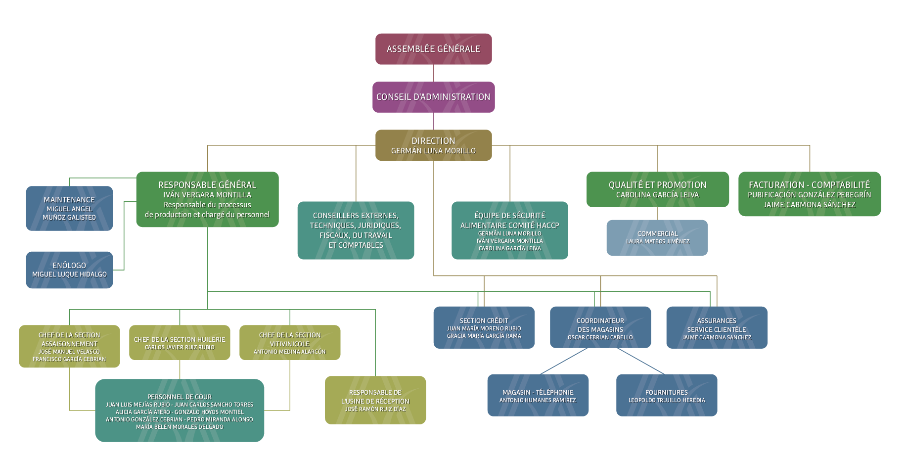 SCAAVO - Sociedad Cooperativa Agrícola Andaluza Virgen de la Oliva