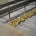 SCAAVO lidera una campaña de aceituna histórica y refuerza el papel estratégico del aderezo en el sector olivarero andaluz
