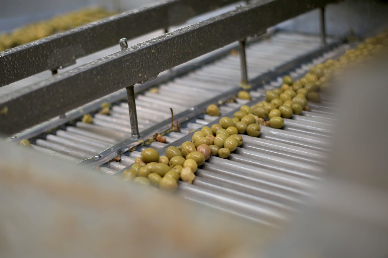 SCAAVO lidera una campaña de aceituna histórica y refuerza el papel estratégico del aderezo en el sector olivarero andaluz