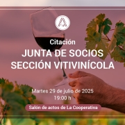 Citación Junta de Sección de Socios de la sección vitivinícola 2025