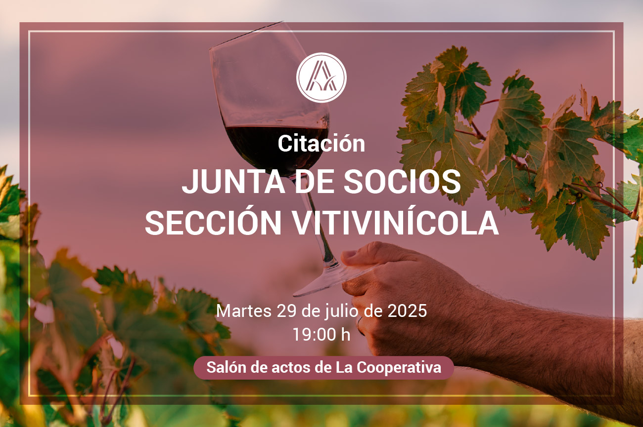 Citación Junta de Sección de Socios de la sección vitivinícola 2025