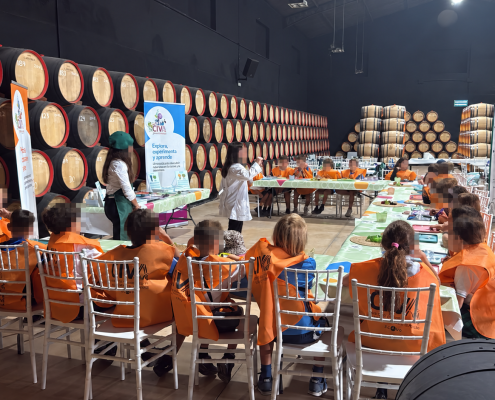 Taller educativo entre barricas de vino Taller educativo para escolares entre barricas de vino en la Bodega Carpe Diem