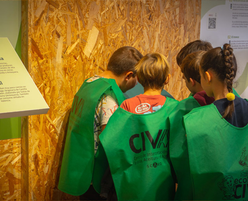 Visita-CIVA-porque-02 Alumnos con petos del CIVA descubren la exposición sobre variedades de aceituna y el olivo