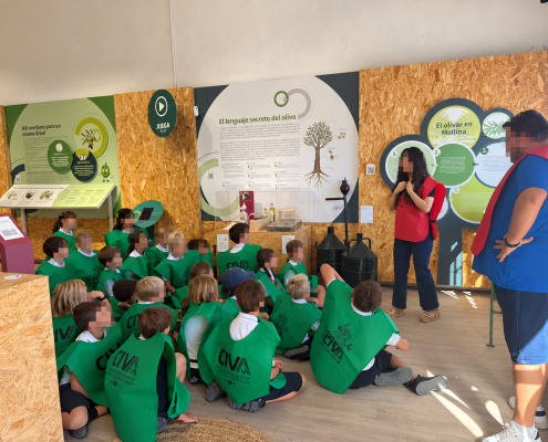 Visita escolar al museo del olivo